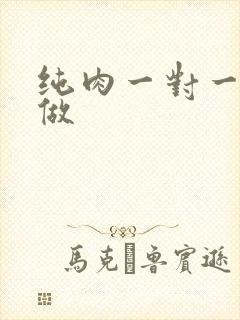 纯肉一对一到处做