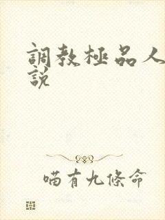 调教极品人妻小说封面