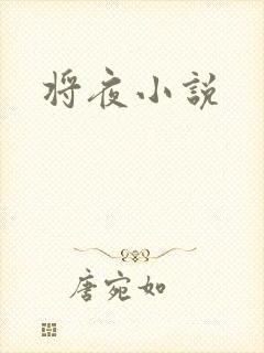 将夜小说封面