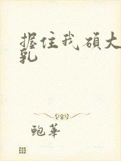 握住我硕大的双乳