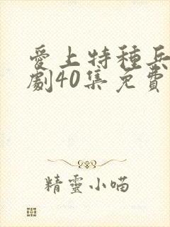 爱上特种兵电视剧40集免费观看全集封面