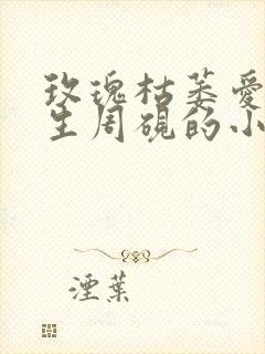 玫瑰枯萎爱不再生周砚的小说