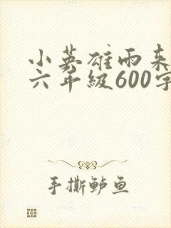 小英雄雨来梗概六年级600字左右封面