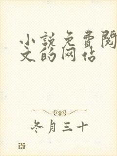 小说免费阅读全文的网站