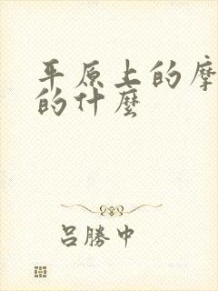 平原上的摩西讲的什么