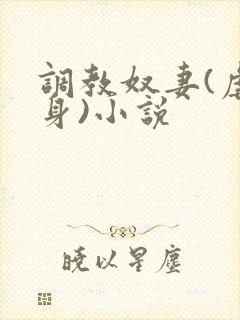 调教奴妻(虐女身)小说