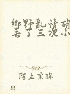 乡野乱情胡秀英丢了三次小说封面