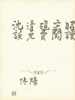 沈清砚宋昭汐小说免费阅读最新章节