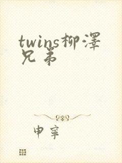 twins柳泽兄弟