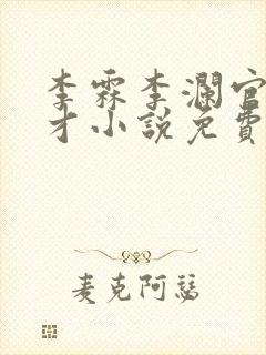 李霖李澜官场奇才小说免费阅读