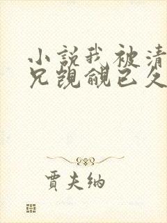 小说我被清冷师兄觊觎已久小说