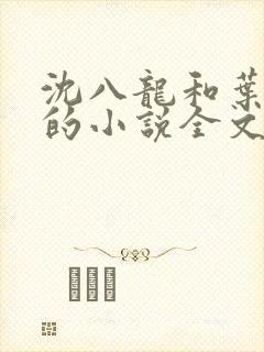 沈八龙和叶可怡的小说全文封面