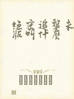 绝密追击未删减版叫什么