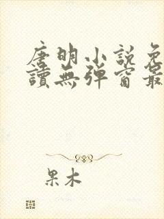 唐明小说免费阅读无弹窗最新章节下载