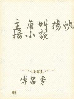 主角叫杨帆的官场小说