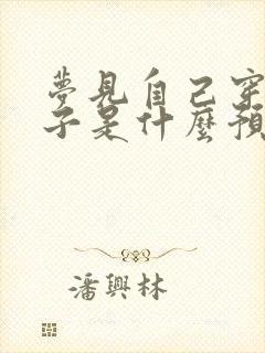 梦见自己穿新袜子是什么预兆