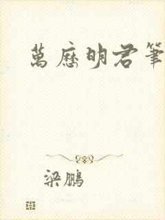 万历明君笔趣阁