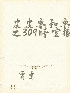 皮皮鲁和鲁西西之309暗室撤档