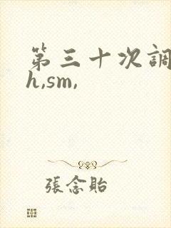 第三十次调教(h,sm,