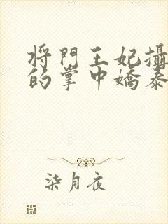 将门王妃摄政王的掌中娇泰妹