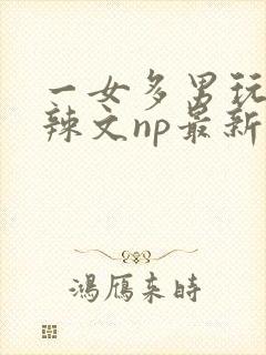 一女多男玩弄h辣文np最新章节