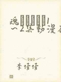 魂インサート1～2集动漫在线播放