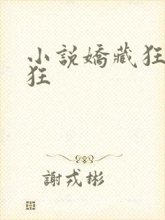 小说娇藏狂上加狂封面