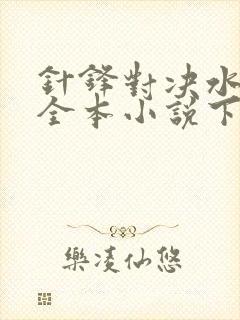 针锋对决水千丞全本小说下载