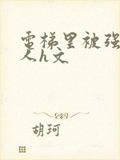电梯里被强陌生人h文