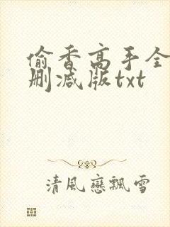 偷香高手全文无删减版txt