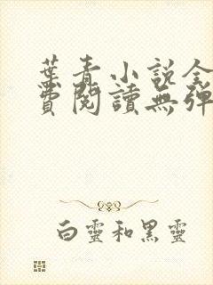 叶青小说全文免费阅读无弹窗