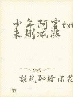 少年阿宾txt未删减版封面