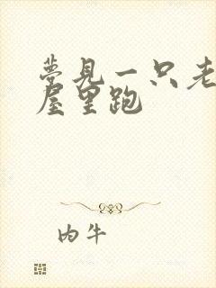 梦见一只老鼠在屋里跑