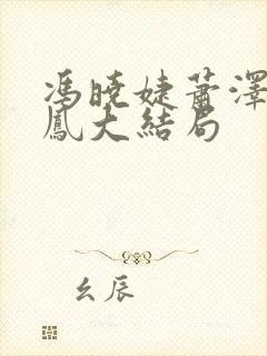 冯晓婕萧泽王雪凤大结局封面