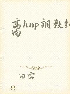 高hnp调教纯肉