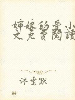 婶娘的爱小说全文免费阅读