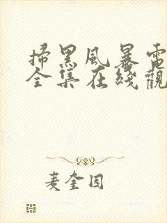 扫黑风暴电视剧全集在线观看免费