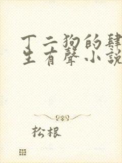丁二狗的肆意人生有声小说免费封面