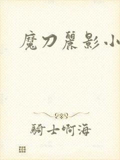 魔刀丽影小说