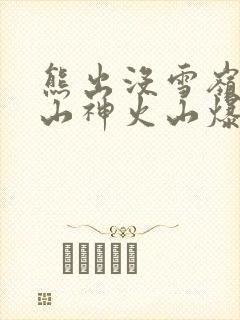 熊出没雪岭熊风山神火山爆发封面