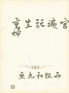 重生玩遍官场贵妇