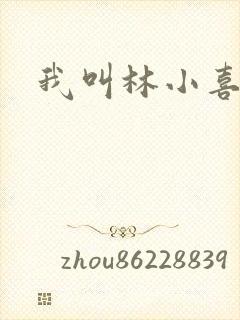 我叫林小喜17封面