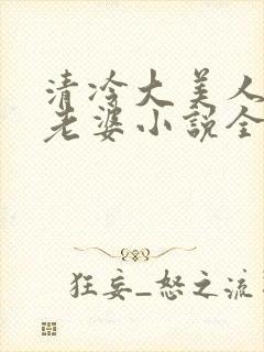 清冷大美人是我老婆小说全文阅读封面