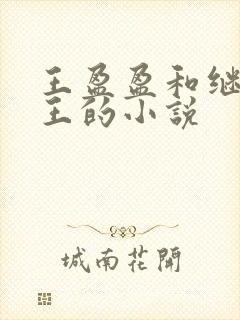 王盈盈和继父老王的小说