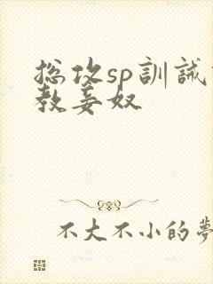 总攻sp训诫调教妾奴