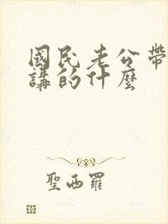 国民老公带回家讲的什么