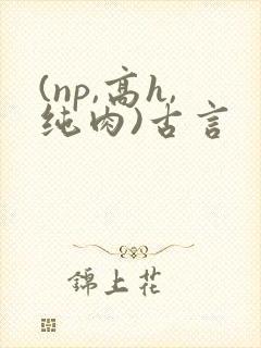 (np,高h,纯肉)古言