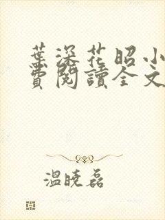 叶深花昭小说免费阅读全文封面