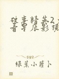 破事精英2免费看星辰影视