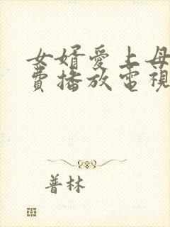 女婿爱上母娘免费播放电视剧大全